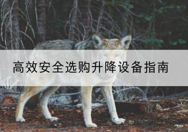 宜良升降货梯厂家推荐-*安全选购升降设备指南