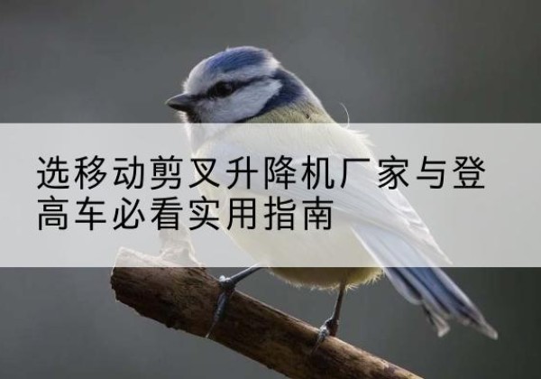 宜良电动升降机厂家-选移动剪叉升降机厂家与登高车必看实用指南
